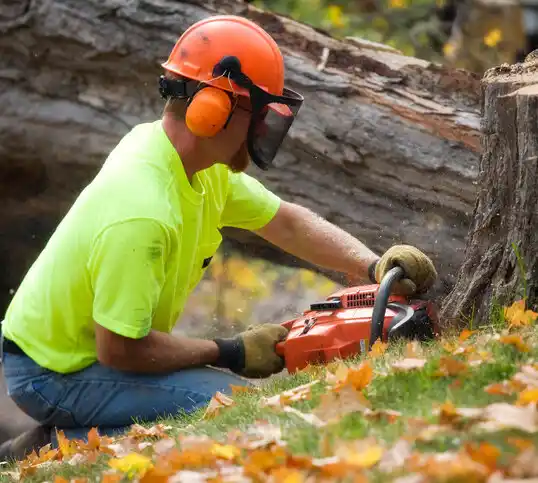 tree services Stovall